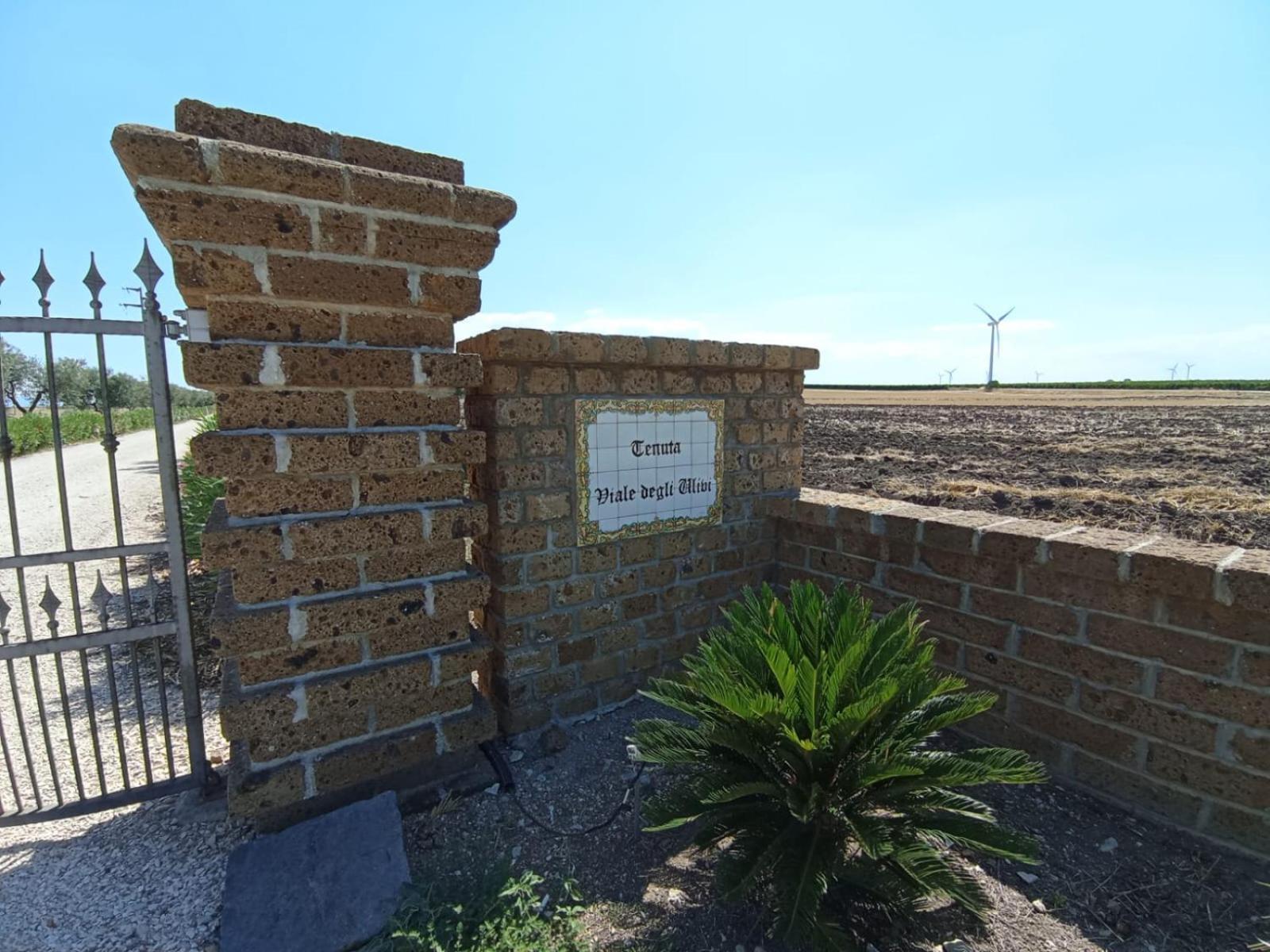 Tenuta Viale Degli Ulivi San Martino in Pensilis Exterior foto