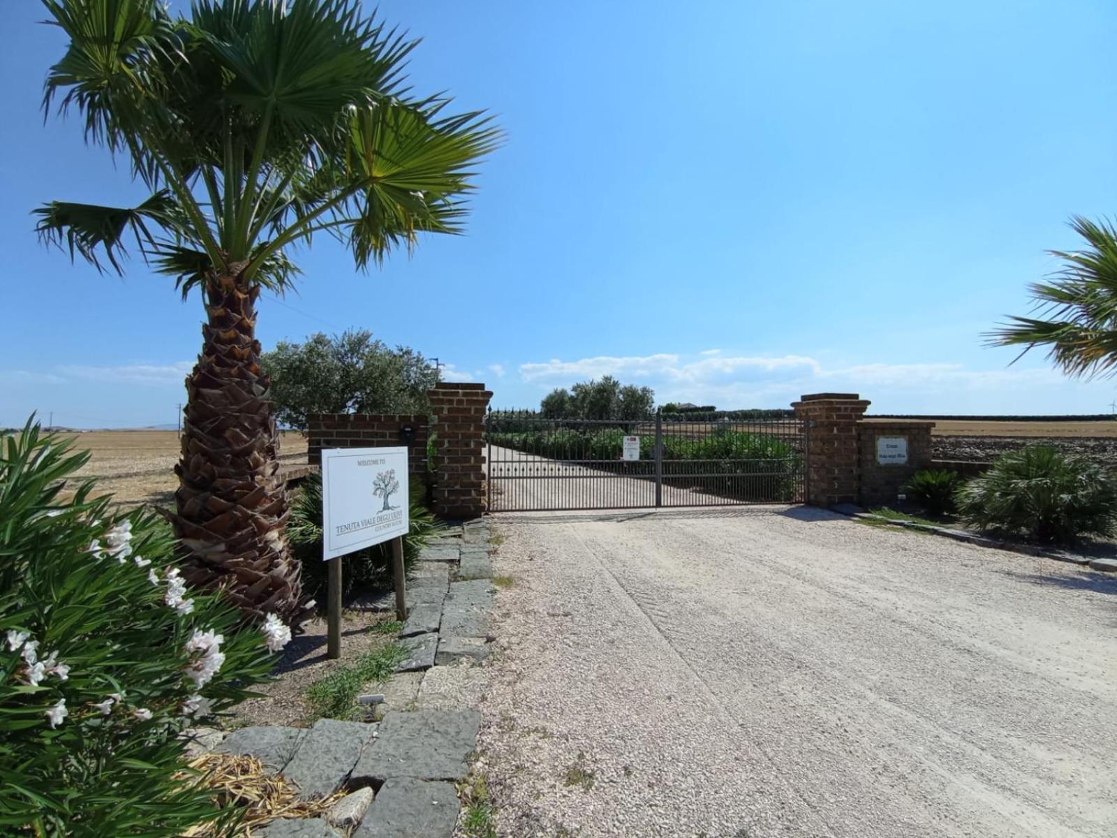 Tenuta Viale Degli Ulivi San Martino in Pensilis Exterior foto